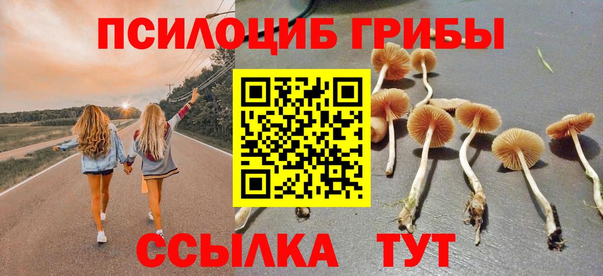 Галлюциногенные грибы мухоморы  Псилоцибиновые грибы мицелий  Вход с VPN  Семилуки 